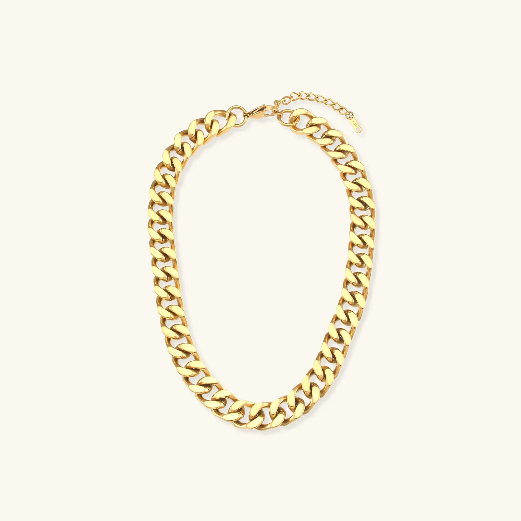 Gianna Chunky Chain Necklace Image