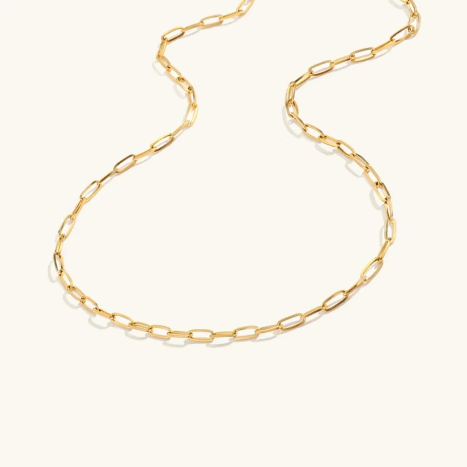Amber Gold Chain Necklace Image