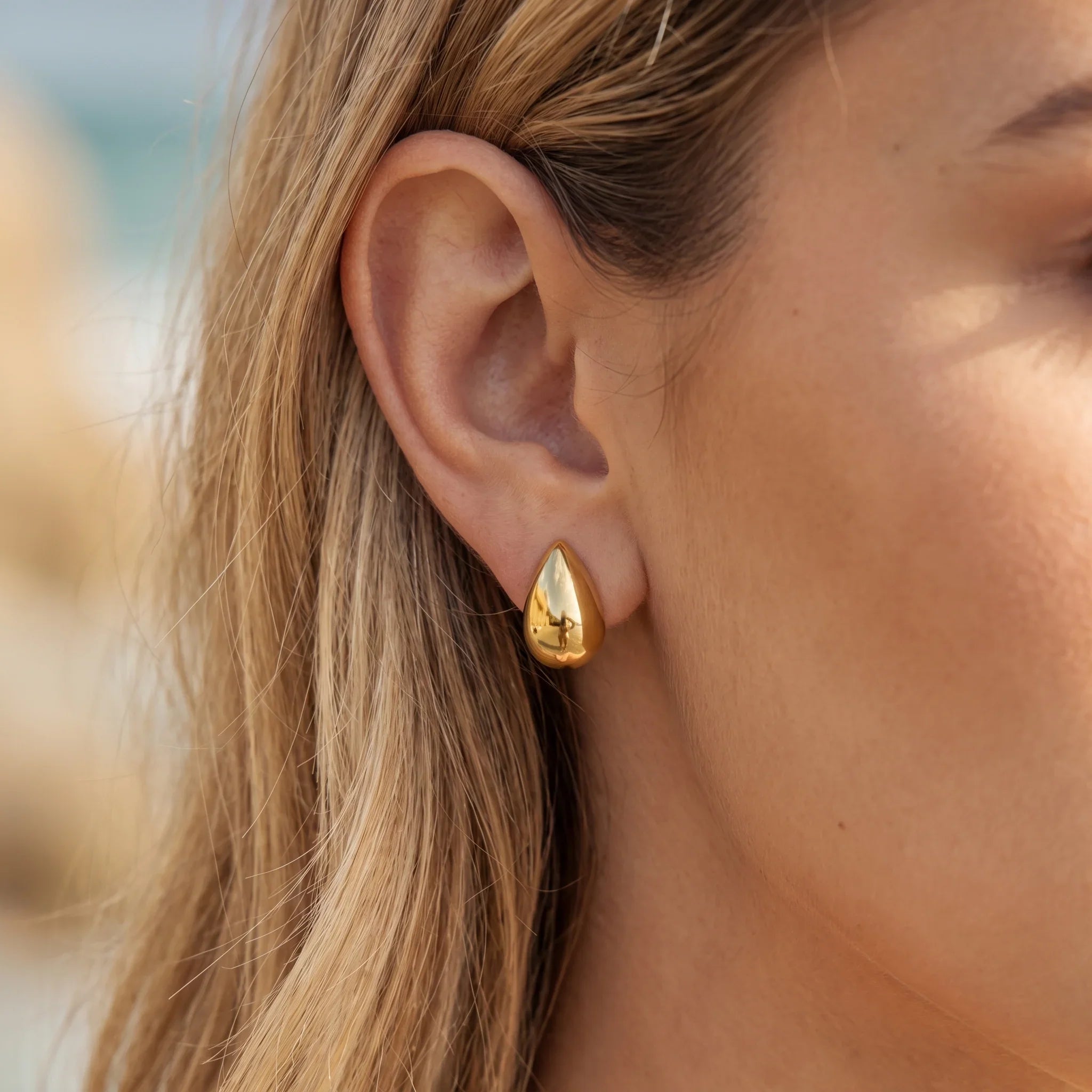 Velvette Gold Earrings Image