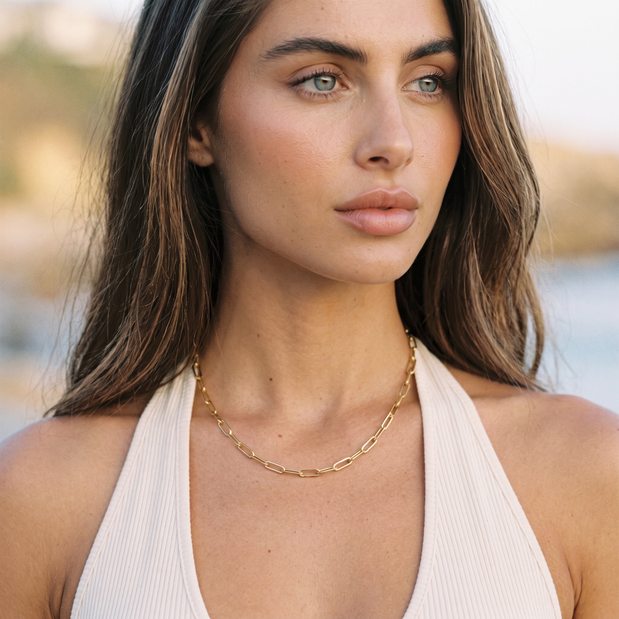 Paperclip Chain Bundle Image