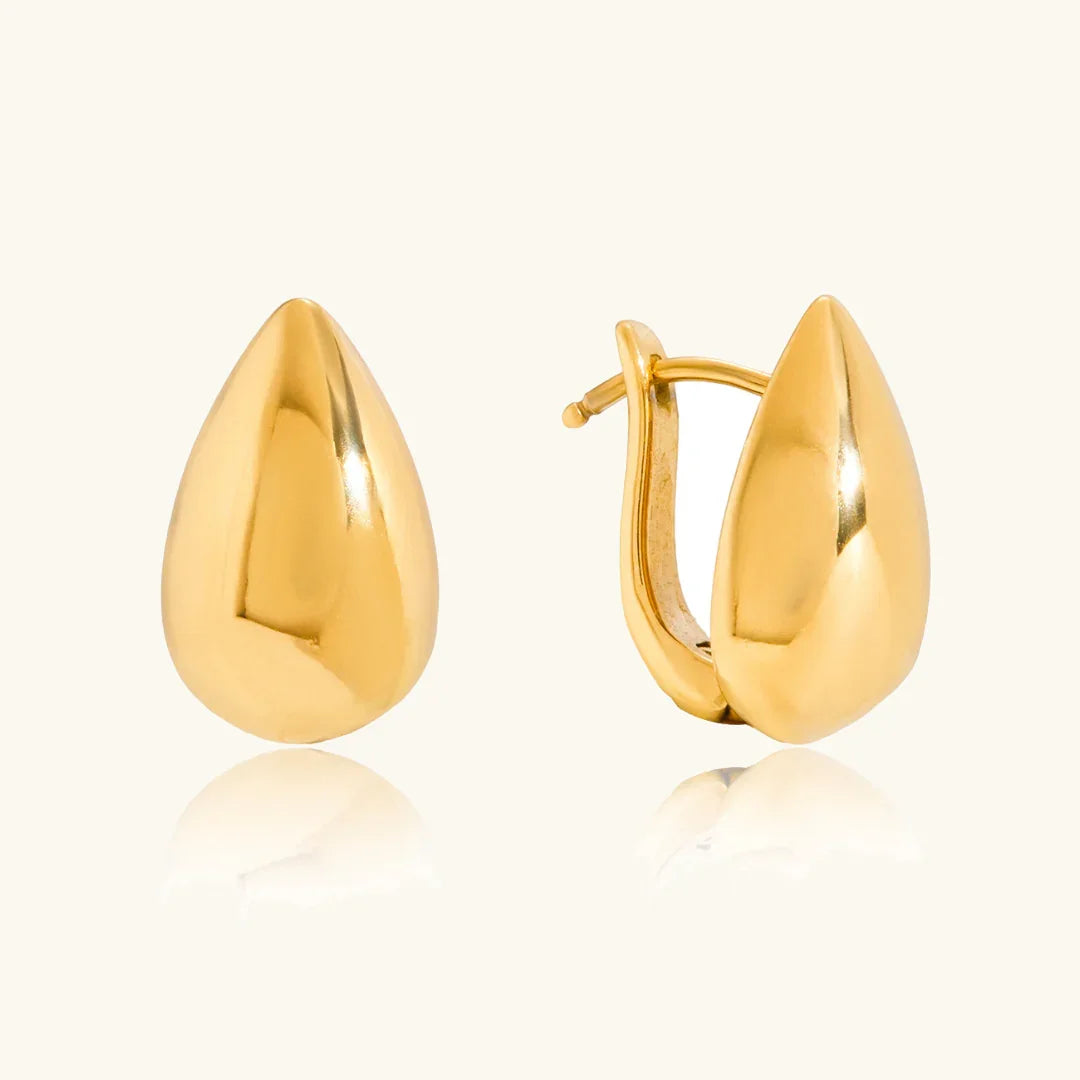Velvette Gold Earrings Image