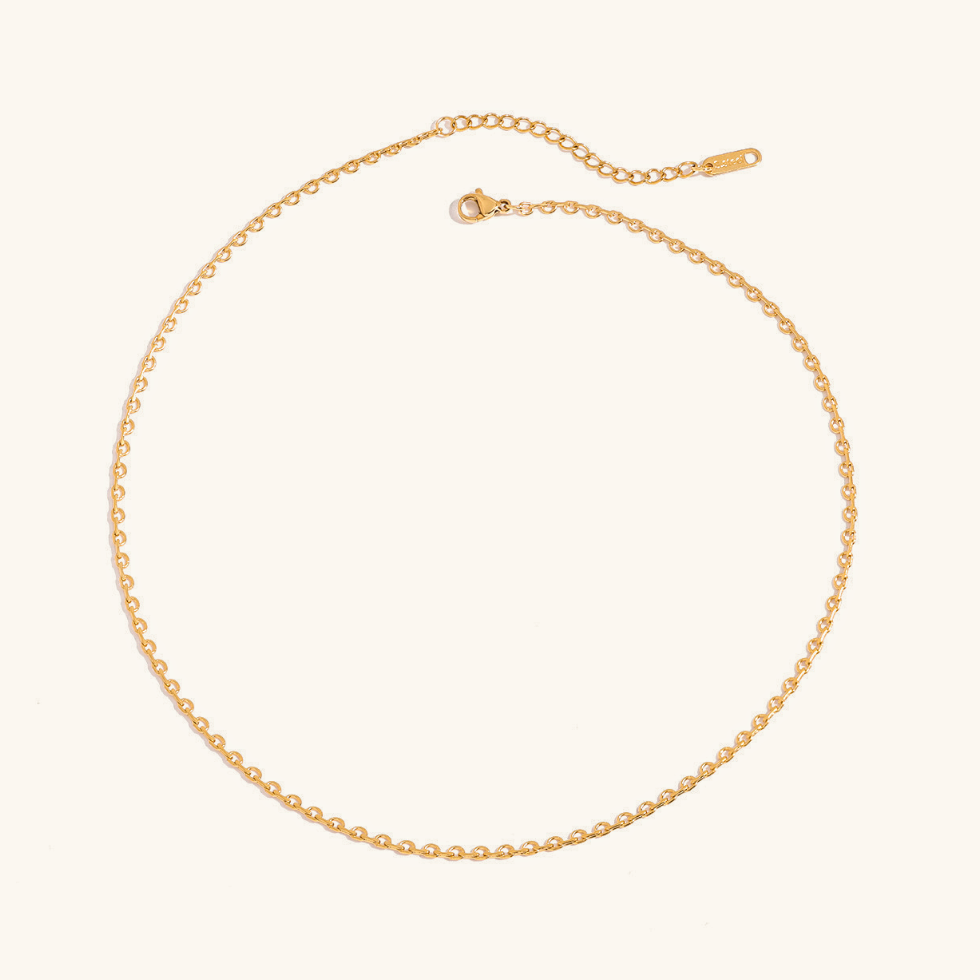 Loraine Gold Chain Necklace Image